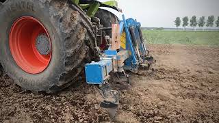 Tillage & sowing cover crop #agriculture #farming