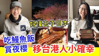 【移民台灣生活】北台灣放晴的一天，來一趟偽日本旅行：吃鰻魚飯、賞夜櫻，移台港人小確幸｜貓奴與寵物移民紀錄 #領養不棄養