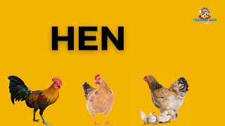 Hens | Chicken | Rooster |CockerelTeacher Aide | Domestic | Animal