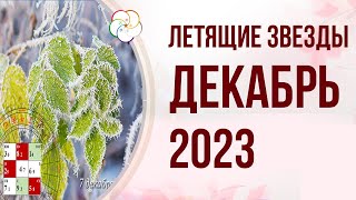 ФЭНШУЙ 2023: Прогноз по Летящим Звездам на ДЕКАБРЬ 2023