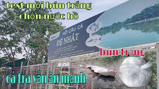 test mồi bún trắng chộn nước hồ cá vẫn ăn mạnh/hồ câu đệ nhất@CuongFising