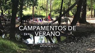 RESUMEN CAMPAMENTOS DE VERANO