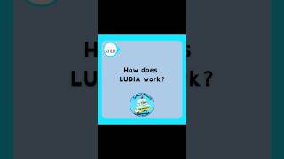 How does LUDIA work?