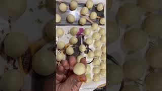 Premix gulab jamun recipe❤️#shorts #gulabjamun #gulabjamunrecipe #sweet #youtubeshorts #viralshort