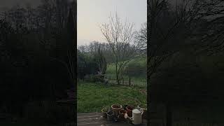 this is what spring feels like #shortstory #morning #shortvideo #spring #soundon