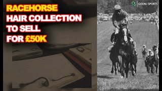 RACEHORSE HAIR COLLECTION TO SELL FOR £50K | Goonj Sports