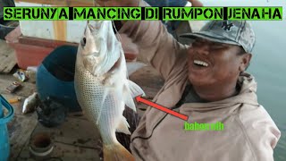 SERUNYA MANCING DI RUMPON JENAHA