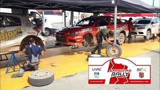 Samsonas Rally Rokiškis 2019| Jumps, Crash, Mistakes, Pure Sound