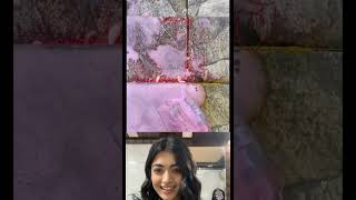 rashmika mandanna reaction || #shorts #viral #rashmikamandanna