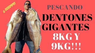 DENTONES GIGANTES!! Fishing Denia