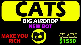 Cats Airdrop Withdraw - Cats Airdrop Telegram - Cats Airdrop Problem - Cats Airdrop Real or Fake