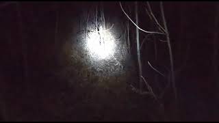 Skinwalker (2009 found footage)