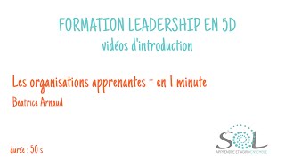 1 - Sol France - Leadership en 5D - Organisations Apprenantes par Béatrice Arnaud en 1 min