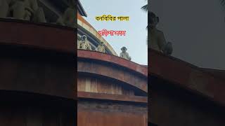 Bonbibir pala । Barishal songha । #vairalvideo #durgapuja #kalyani #santoshmitrasquaredurgapuja