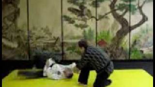 Hapkido Video