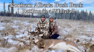 Northern Alberta Bush Buck