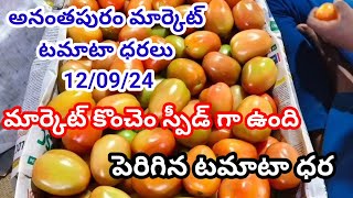 12 September 2024|| అనంతపురం మార్కెట్లో టమోటా ధరలు || ధరలు కొంచెం బెటర్ గానే వెళ్తున్నాయి