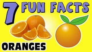 7 FUN FACTS ABOUT ORANGES! ORANGE FACTS FOR KIDS! Learning Colors! Citrus! Fruit! Funny Sock Puppet!