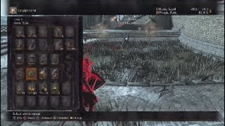 Dark souls 3 The Rawring