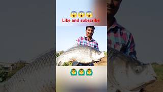 Big Size Catla Fish Catchup 🙆‍♂️😮 #bigfish #bigsizefish #fish #fishing #fishingvideo #viralvideo