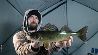 Last Time Ice Fishing Walleyes This Year (GULL LAKE)