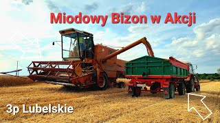 ☆Miodowy Bizon Z056 w akcji !!!☆Żniwa 2022 w pełni☆