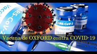 ÉXITO de Vacuna de OXFORD contra COVID-19 / Todos los detalles de AZD1222 y Cuándo estará Lista