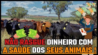 NÃO RASGUE DINHEIRO COM A SAÚDE DOS SEUS ANIMAIS !!