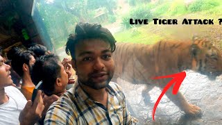 Rani Bagh zoo mumbai || live Tiger Attack