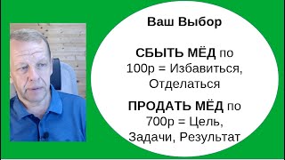 Сбыть мёд = Избавиться, Отделаться... Бизнес-пасека на сотке = Продажи = Цель, Задачи, Результат