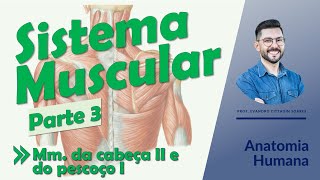 Sistema Muscular - Aula 03 - Músculos da cabeça II e músculos do pescoço I - Anatomia Humana