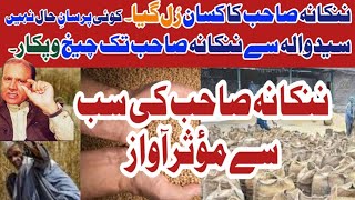 Wheat crisis in Pakistan | کسان کی بربادی کا ذمہ دار کون | Pervaiz Awan