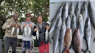 Mangrove Snapper and Spanish Mackerel off Downtown Miami ( AWESOME UNDERWATER VIDEO with GOFISH CAM)