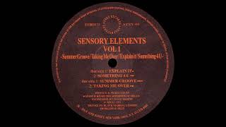 Sensory Elements - Explain It