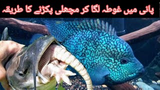 How to catch fish by diving in water/Hasnain Qaisar