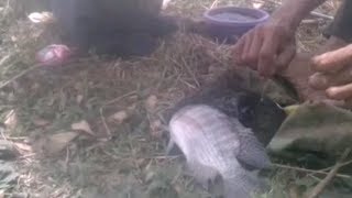 Trakhir mancing sayang kalau Di buang!