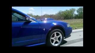 2003 Mustang GT vs 1988 Trans Am GTA