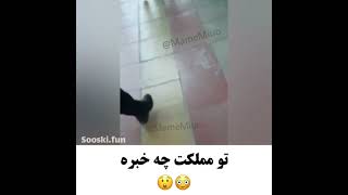 دختره ایرانی پسرو انگشت میکنه 🔞👍😂 #خنده_دار #چالش_خفن #لختی #تتلو #تولد #سوتی_کلاس_آنلاین