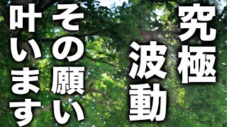 「究極の波動です。その願い叶います」天界メッセージは常に何手先までも見通して示されます。人はすぐに「今すぐ」と思いますが、数年後かもしれません。ただ、確実に予言は的中するのです(a0319)