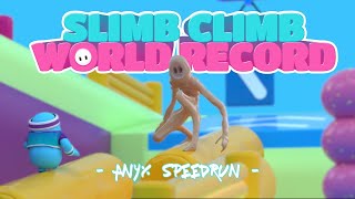 Fall Guys: Slimb Climb World Record Speedrun