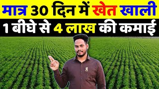 इस खेती में 12 हजार लगाकर 4 लाख कमाएं | dhaniya ki kheti kab kare🌱dhaniya ki kheti kaise Karen