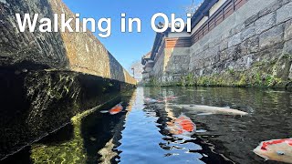 Walking in Obi-castle(飫肥城)