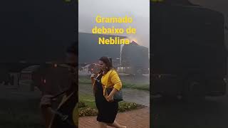 Gramado debaixo de Neblina