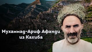 МУХАММАД-АРИФ АФАНДИ ИЗ КАХИБА