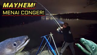 Fishing for BIG CONGER in the MIGHTY MENAI STRAITS - Congers caught!