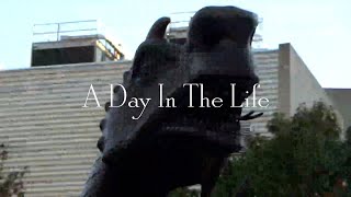 Day in the Life - 10/23/2023