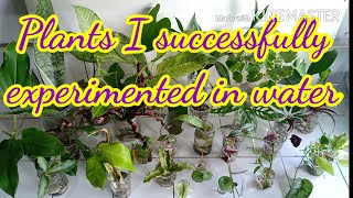 30 Plants I successfully  propagated in water