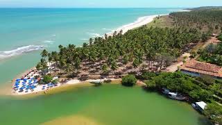 Jequia da praia Alagoas Maceió