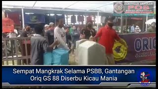 Sempat Mangkrak Selama PSBB, Gantangan Oriq GS 88 Diserbu Kicau Mania.