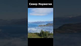 Север Норвегии #shorts